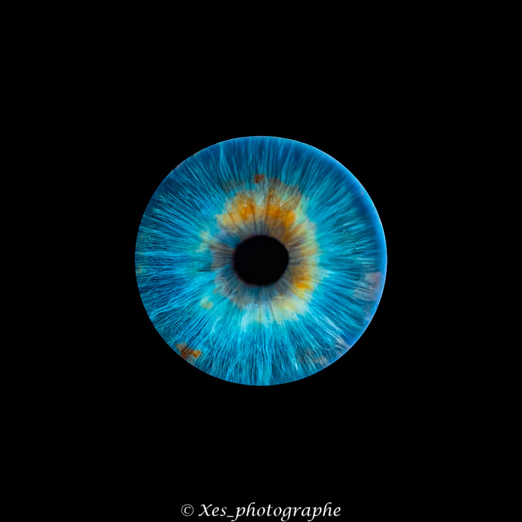 05102025-Sans titre-1 05102025 Sans Titre 1 1024x1024