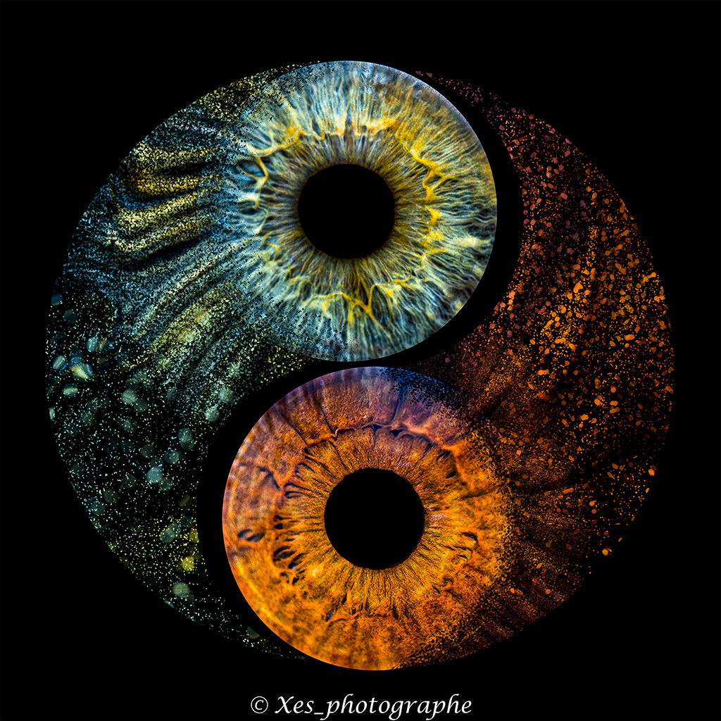 contact-img 13052025 Test Impressioncewe Copie