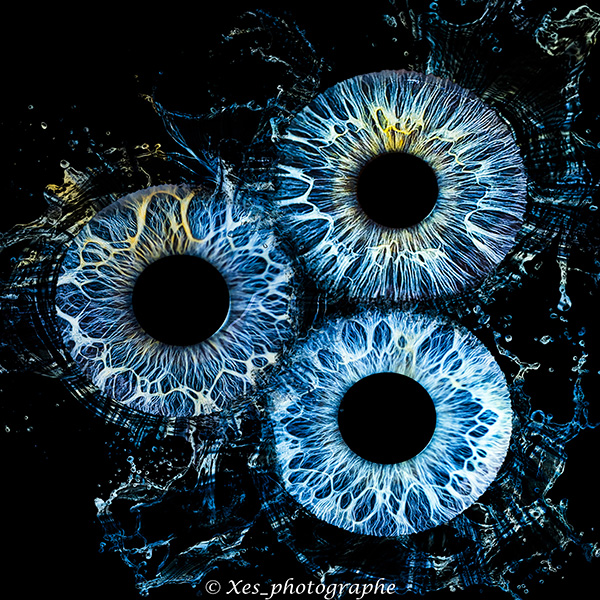 gallery-2 17062025 Test Splash Copie