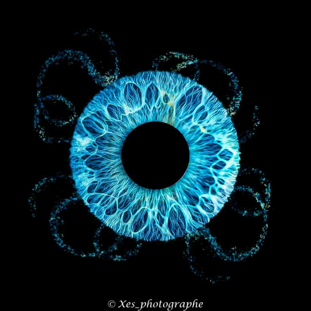 09112025 iris 3 09112025 iris 3